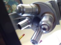 Микроскоп   Микмед-2 вар.2   бинокулярный